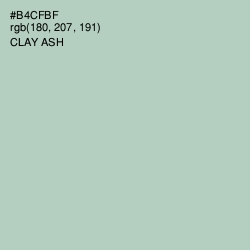 #B4CFBF - Clay Ash Color Image